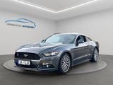 Ford Mustang 2.3 EB BRD Fastback Liebhaberfahrzeug ! - gebrauchte Ford Mustang aus dem Jahr 2017