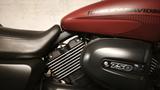 Harley-Davidson XG1 Street Rod 750 - Offers