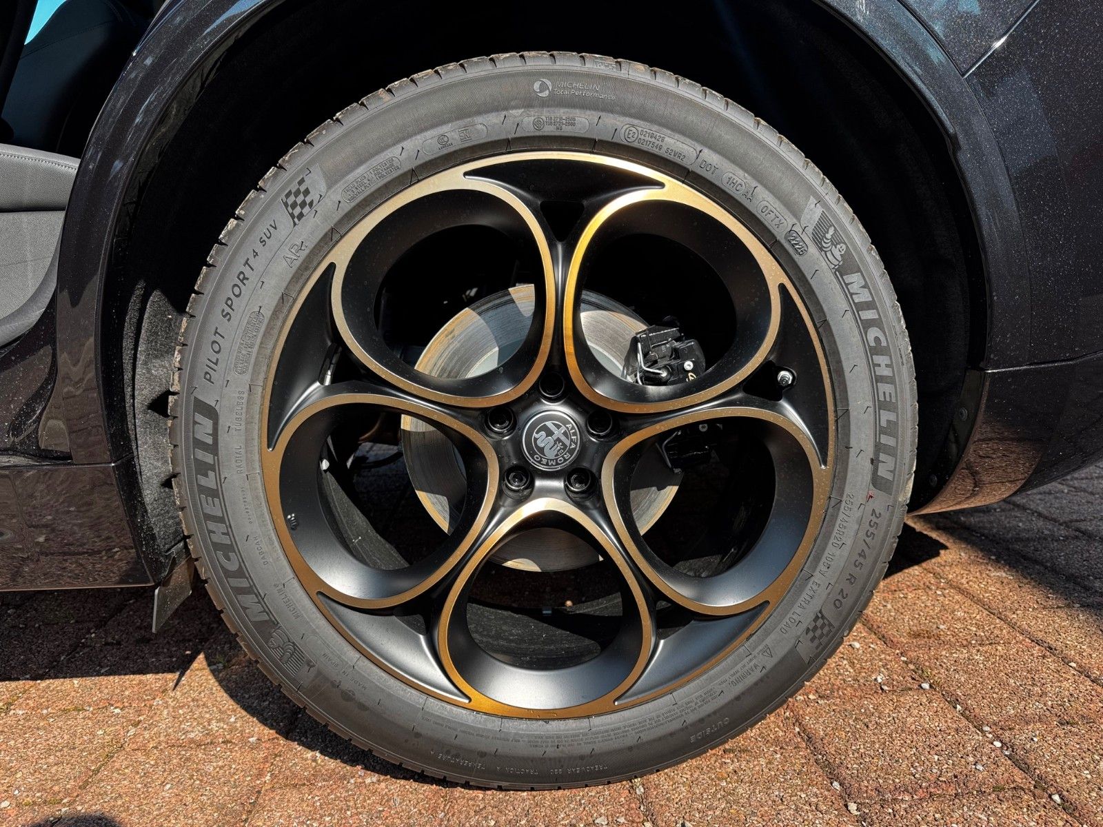 Fahrzeugabbildung Alfa Romeo Stelvio 2.0 Intensa Allrad 280PS Glasdach Navi
