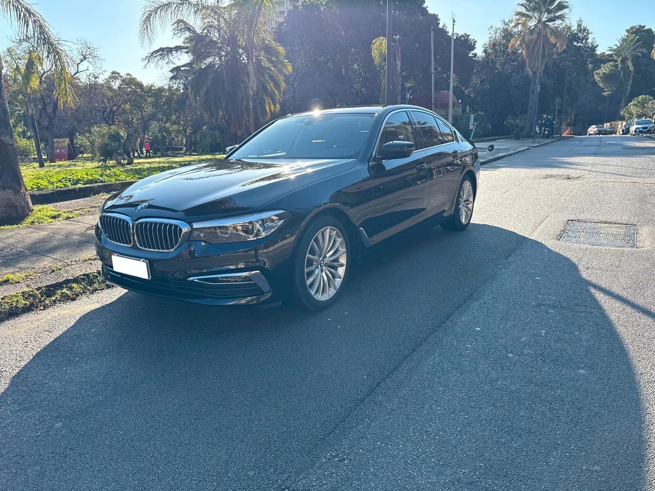 BMW Bmw 520 520d 48V Luxury Steptronic