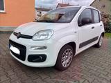 Fiat New Panda My Panda 1.2 *Klima*PDC*TÜV... - Fiat New Panda von privat