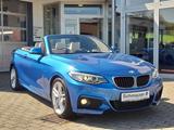 BMW 228 i Cabrio M-Sport,BI-XENON,NAVI,PDC,SHZ,1.Han - BMW 228
