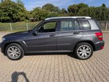 Mercedes-Benz GLK 220 CDI BlueEfficiency PANORAMA AHK - Mercedes-Benz GLK 220 aus 2010