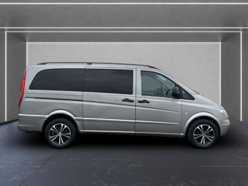Mercedes Viano - 7