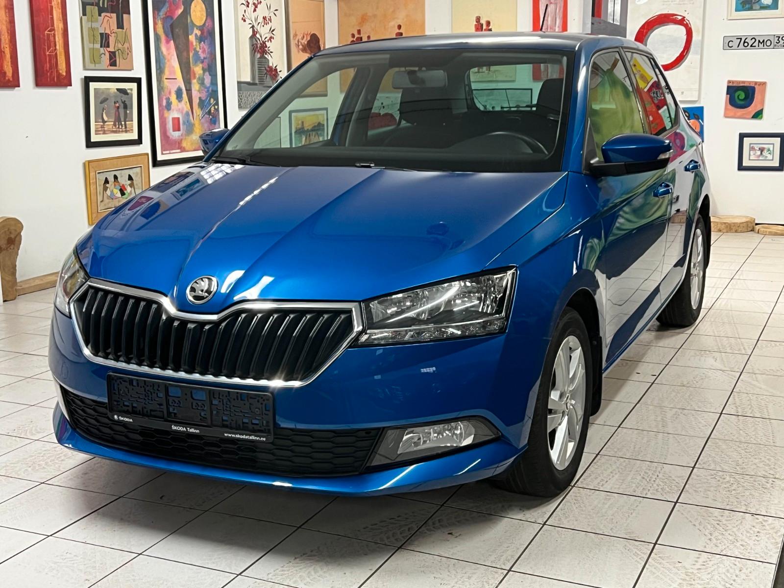 Skoda Fabia Ambition 1 Hand Garantie