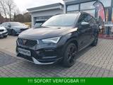 Cupra Ateca DSG 4Drive *360°Kamer*elHeckkl*Pano*Beats* - Cupra Ateca mit Benzin-Antrieb: Beheizbares Lenkrad, mit Klimaautomatik