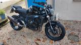 Yamaha Fz1 - YAMAHA 2006 FZ1