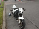 Yamaha FZR 1000 2LA - Angebote entsprechen deinen Suchkriterien