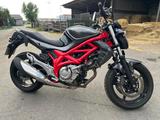 Suzuki Gladius  - SUZUKI GLADIUS