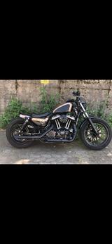 Harley-Davidson Sportster XL 883 N - HARLEY-DAVIDSON SPORTSTER XL 883