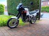Honda Dominator 650  - HONDA DOMINATOR