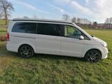 Mercedes-Benz Marco Polo V250 AMG, 4x4, AHK, Leder, SD  - Mercedes-Benz Integrierter