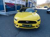 Ford Mustang GT 5.0 V8 Cabrio Convertible *Xenon*Navi - Ford Mustang: Cabrio