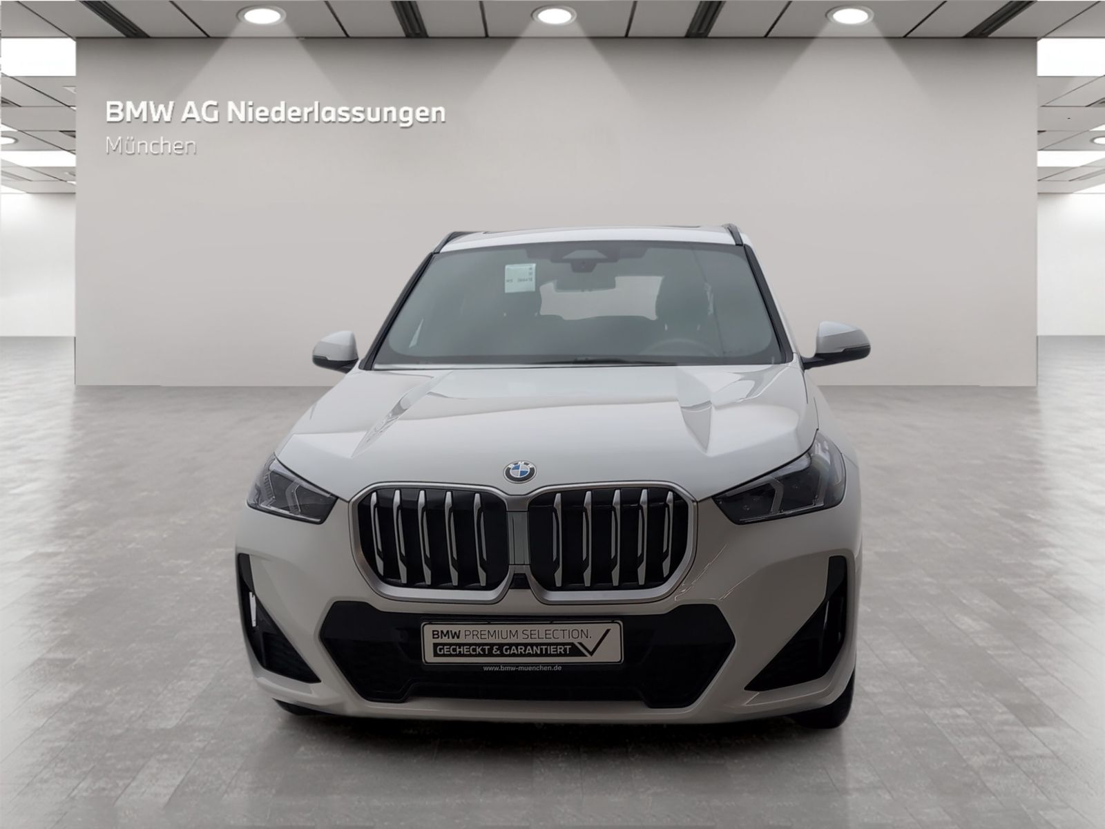 BMW X1 xDrive20d M Sport AHK Driv.Assist Head-Up foto 3