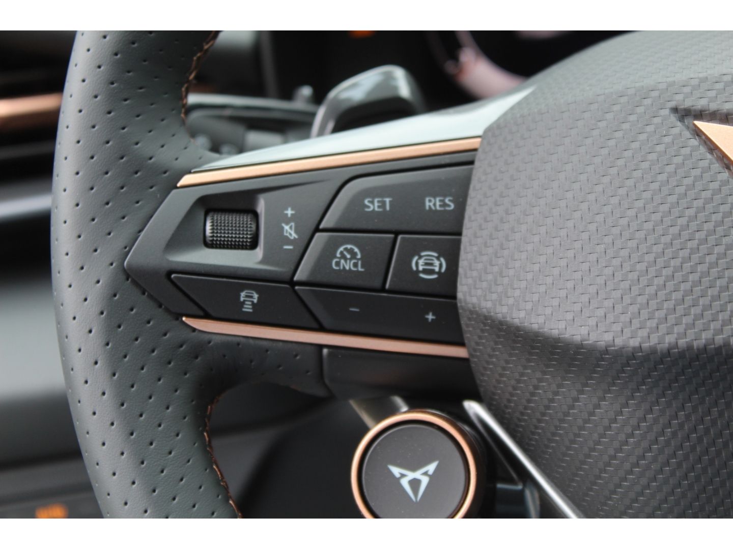 Cupra Terramar - Bild 8