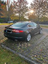 Jaguar XF 2.2 L Diesel  - Jaguar Gebrauchtwagen von 2012