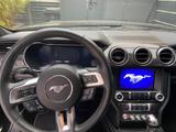 Ford Mustang 5.0 V8 GT 55 year edition automatik - Ford Mustang: Edition