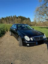 Mercedes-Benz Mercedes Benz E 240 AVANTGARDE - Mercedes-Benz E 240 mit Benzin-Antrieb: Limousine