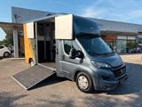 Fiat Ducato Böckmann Pferdetransporter Automatik Navi - Bauwagen