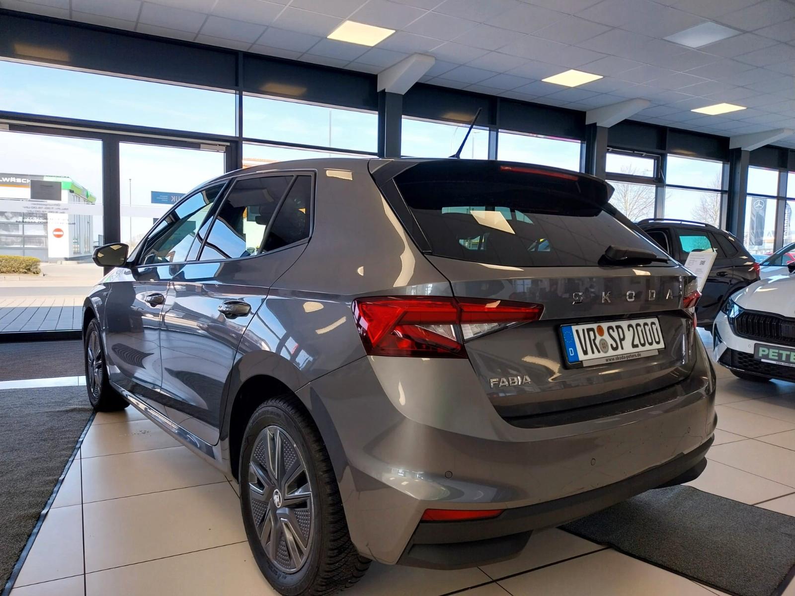 Skoda Fabia Drive Navi Lenkradhzg Rückfahrkamera