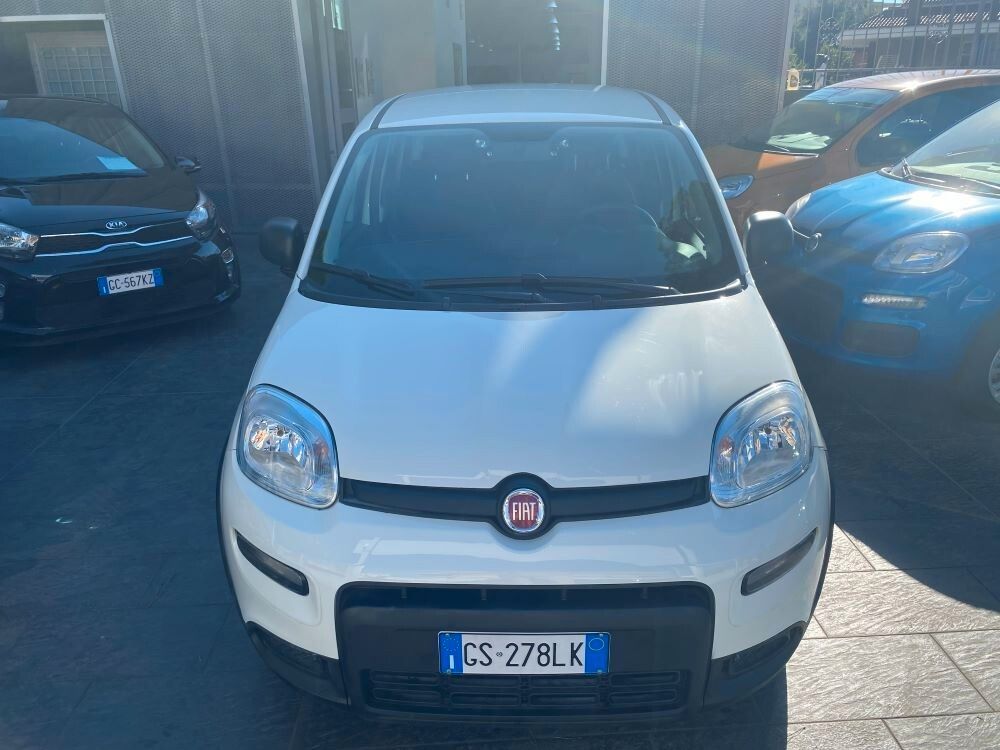 Image of Fiat Panda