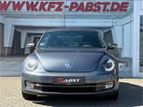 Volkswagen Beetle Design Bi Xenon Temp. - graue Volkswagen Beetle