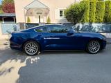 Ford Mustang 2.3 EcoBoost - - Ford Mustang in München
