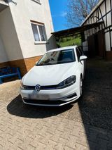 Volkswagen Golf 7 tgi erdgas + benzin 131 ps - Volkswagen Golf: Erdgas