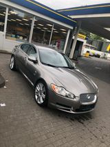 Jaguar XF 3.0 V6 Diesel - Jaguar XF in Bielefeld