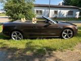 Audi A5 Cabriolet S-Line - Audi A5: Braun, Leder