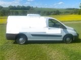 Fiat Transporter mit Kühl/ Tiefkühlaufbau - Fiat: Transporter