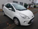 Ford Ka Champions Edition Klima/Start-Stop - Ford Ka/Ka+ in Ludwigshafen