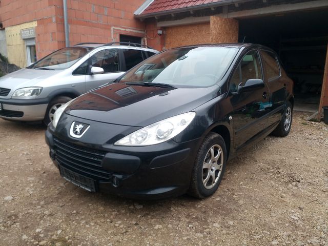 Peugeot 307 Grand Filou Cool