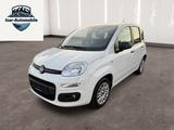 Fiat Panda Easy*1-Hand*Autogas*Sitz-Heiz.*Pdc* - gebrauchte Fiat Panda aus dem Jahr 2020