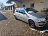 Fiat Punto 1.2 8V - - Fiat Punto aus 2004: 1.2