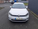Volkswagen Golf 1.5 TGI CNG & Benzin BlueMot. Comfortlin... - Volkswagen Golf: Tgi