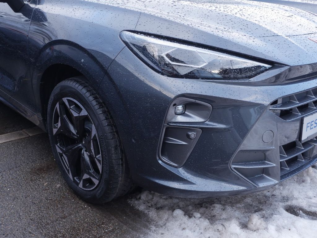 Cupra Terramar - Bild 9