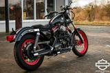 Harley-Davidson XLH883Sportster - NEUAUFBAU - OLDTIMER - Oldtimer Motorräder