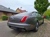 Jaguar XJ Luxury 3.0 V6 Diesel Luxury - Jaguar XJ aus 2018