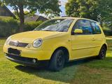 Volkswagen Lupo 1.0 COMFORTLINE TüV NEU TOP AUSSTATTUNG - Volkswagen Lupo: Comfortline