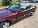 BMW 318i Cabrio 318i - BMW 318 aus 1995: 318i