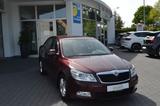 Skoda Octavia 105 PS TDI Greenline ab 4,99% Finz! - Skoda Octavia: Allradantrieb, 1.9
