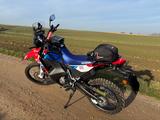 Honda CRF 300 Rally   Viel Zubehör/Garantie/TET Ready - Offers