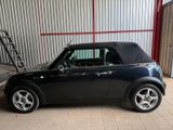 MINI Mini Cooper - MINI MINI aus 2006: Cabrio
