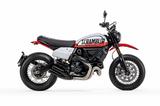 Ducati Scrambler Urban Motard - Offers matching your search criteria