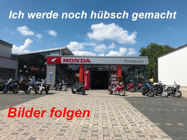 Honda CMX 500 A2N S-EDITION REBEL **JUNGE GEBRAUCHTE**