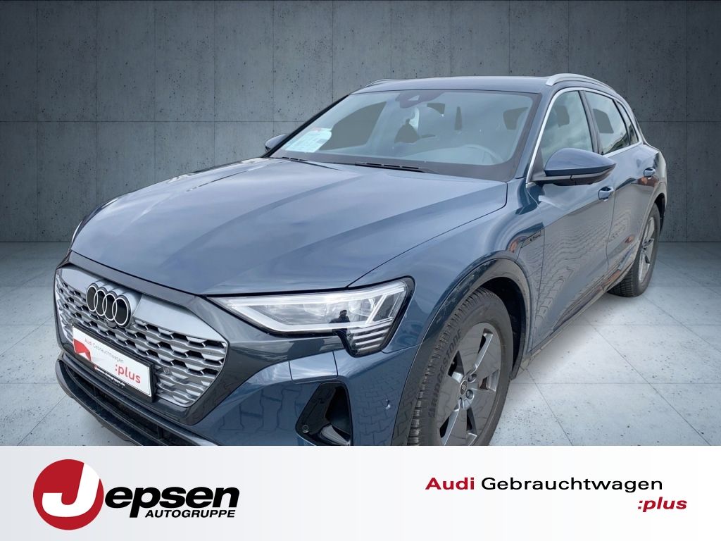 Audi Q8 e-tron advanced 50 qu. ParkAss 360 21´ ACC