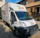 Fiat Ducato Foodtruck 2.3jtd Netto 14.800 - Fiat Ducato: 8.2