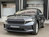 Skoda Enyaq 80 Suite Matrix VirtualCockpit Pano Kamera - Skoda Enyaq Gebrauchtwagen