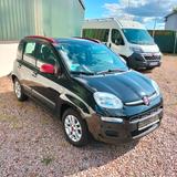 Fiat Panda Lounge "Twin Air" Automatik !! - Fiat Panda mit Anhängerkupplung